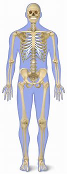 Skeleton in Your Closet